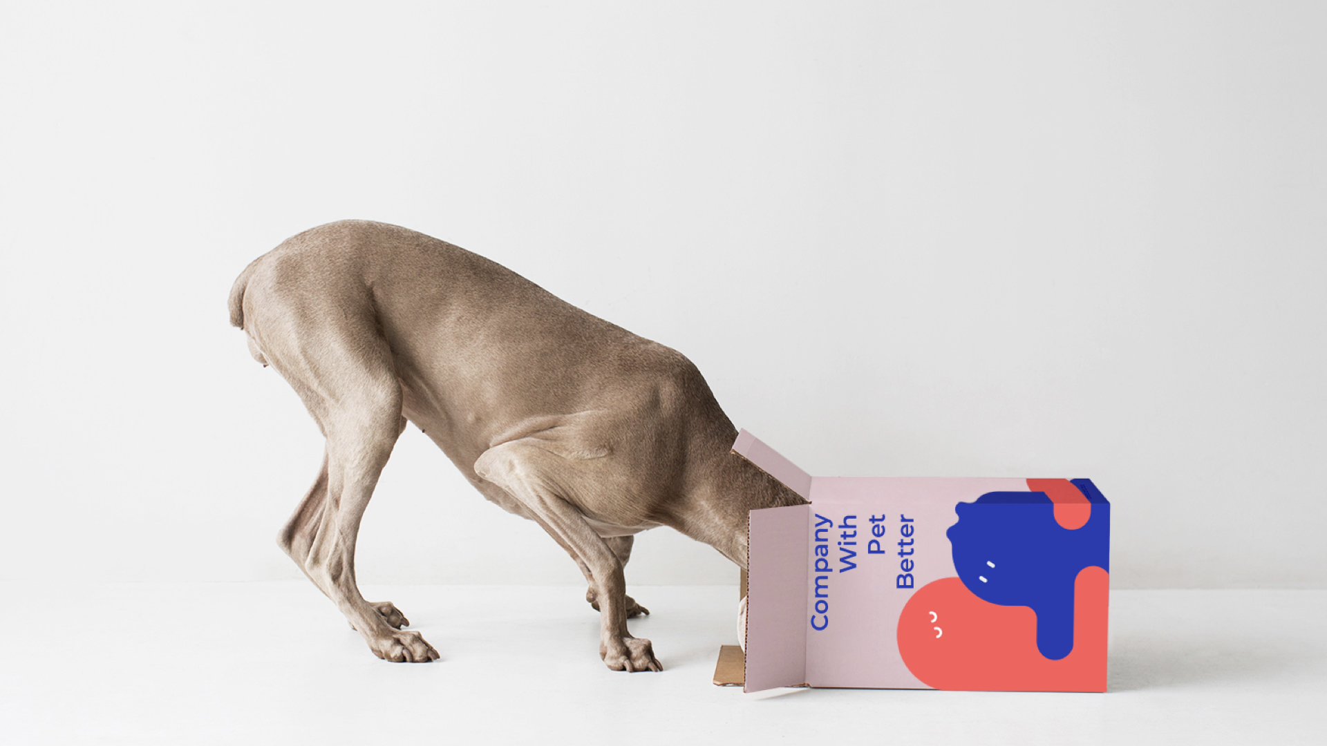 宠物产品包装盒设计.jpeg